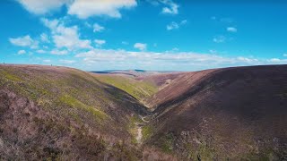 Langden Brook Bowland Forest [upl. by Willner]