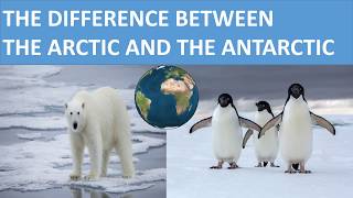 THE DIFFERENCE BETWEEN THE ARCTIC AND THE ANTARCTIC  SCIENCE VIDEO FOR KIDS [upl. by Gottuard]