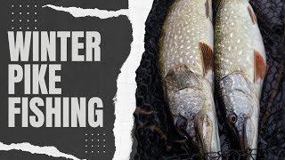 Winter River Pike Fishing With Deadbaits [upl. by Dirrej]