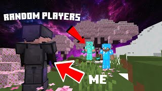 Minecraft PvP Highlights Epic Battles ⚔️ [upl. by Celisse]