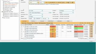 SpiraTeam v32  Managing Test Sets [upl. by Alger]