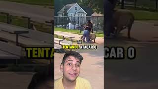 ‼️QUE PERIGO‼️ pets caes cachorro animaisdeestimação animaisengraçados remix react cao [upl. by Ainedrag]