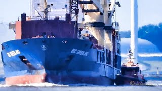 Lotse AMISIA amp Schlepper RADBOD port tender pilot  tug for BBC GREENLAND inbound Emden [upl. by Anitra]