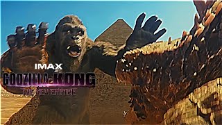 Godzilla amp Kong Fighting Scene in Egypt  Godzilla X Kong The New Empire [upl. by Ecyob]