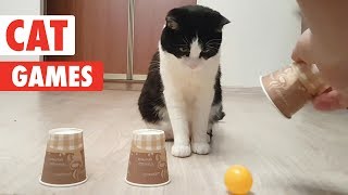 Cat Games  Playful Cats Video Compilation [upl. by Pruchno]