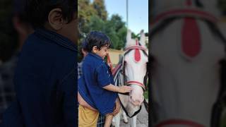 hoga tumse pyara kon plz 1 like 🙏viral horse youtubeshorts cute 🙏❤️ [upl. by Ralyat]