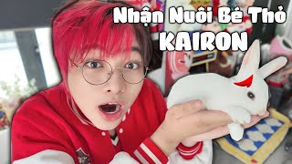 Kairon Nhận Nuôi BÉ THỎ MỚI  Một Ngày Của Bé Thỏ [upl. by Herminia]