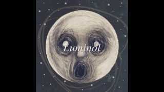 Steven Wilson  Luminol lyrics [upl. by Fabrienne]