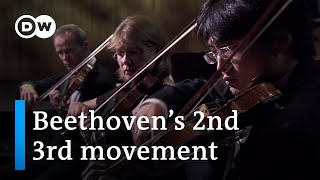 Beethoven Symphony No 2 3rd movement  Paavo Järvi and the Deutsche Kammerphilharmonie Bremen [upl. by Raymund]