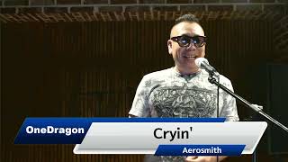 CryinAerosmith cover by OneDragon [upl. by Nancee]