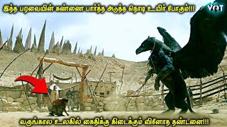 வருங்கால உலகில் கைதிகளுக்கு கிடைக்கும் வினோத தண்டனை  VOT Films  Story in tamil  voice over [upl. by Price]