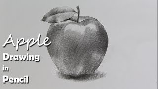 How to Draw An Apple in Pencil  step by step how to use pencil strokes  Artist  Supriyo [upl. by Nonnah]