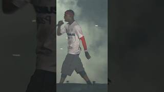 The energy s ELECTRIC every time Travis Scott plays FEN live shorts shortfeed travisscott crowd [upl. by Ahsiuqel555]