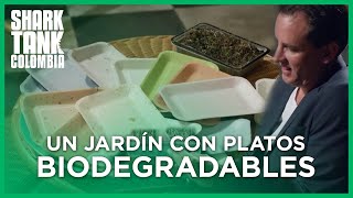 Un jardín con platos biodegradables  Shark Tank Colombia [upl. by Orgel]