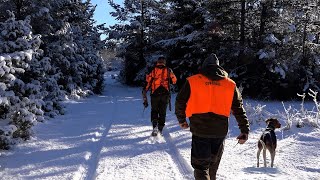 NOVOGODIŠNJI LOV NA DIVLJU SVINJU  SOKOLAC [upl. by Hsiekal]