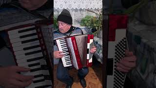 Royal Standard Marina Accordion 96 Bass 3 voices 53 register Germany accordion ON SALE [upl. by Llij120]