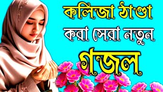 কলিজা ঠান্ডা করা গজল New Bangla Gazal2024 GhazalGojol Islamic Gazal Bangla Gazal [upl. by Yevette450]