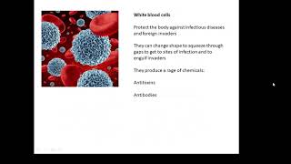 BTEC Applied Science Unit 1 Biology Specialised Cells [upl. by Eiahpets]