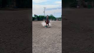 Bájate Rápido 🧨🔥 cowgirls rodeoviral fypシhorsemusic caballosgirlhorseriding shortsvideo [upl. by Lounge]