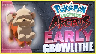 How To Catch Hisuian Growlithe EARLY  Pokemon Legends Arceus Hisuian Growlithe Location [upl. by Ecaroh]