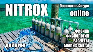 Курс Nitrox Diver  бесплатный курс для дайверов [upl. by Nasia]