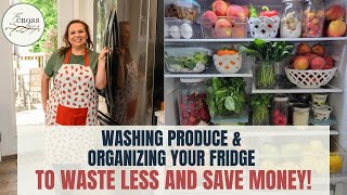 Fridge Organization Tips to Waste Less and Save Money  Washing Produce Tips [upl. by Ilil253]