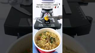 Instant noodles under the microscope microscope shorts [upl. by Hillyer]