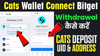 cats wallet connect bitget  How to withdrawal cats token on Bitget  cat token deposit address and [upl. by Placida]