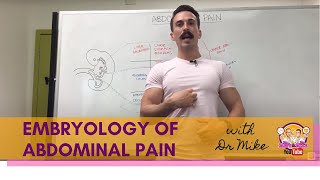 Abdominal Pain  Embryology [upl. by Akisej389]