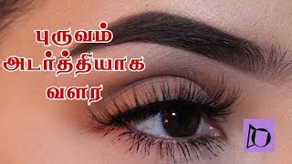 புருவம் அடர்த்தியாக வளர எளிய வழி  How to grow eyebrows faster and thicker in Tamil [upl. by Heins]