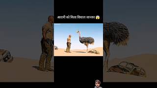 इन आदमी को मिला विशाल जानवर 😱 viral 🔥 short movie [upl. by Misab]