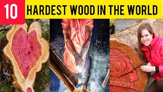 The Hardest and Toughest Wood On Earth [upl. by Newmark985]