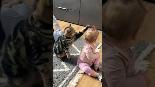 قط شقي جدا 🤣 explore اكسبلور cat shortvideo catlover kitten ahorts funny youtubeshorts fy [upl. by Eitsim]