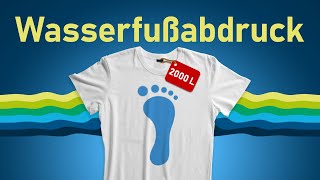 Virtuelles Wasser So viel verbraucht ein einziges TShirt  klimacheck [upl. by Concha]