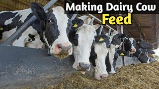 Making Cheap and Quality Dairy Animals Feed [upl. by Ming]