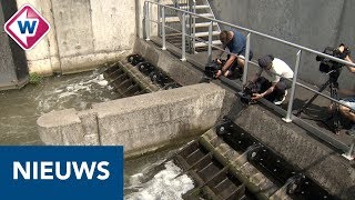 ZuidHolland krijgt zoetwater uit Utrecht  OMROEP WEST [upl. by Wheaton861]