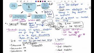 Pharmacokinetics  Routes of Drug Administration  pharmacokinetics pharmacology [upl. by Baruch]