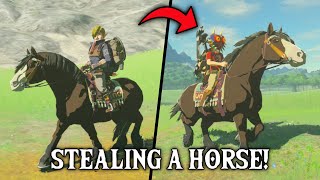 Stealing an NPCs HORSE  Zelda Breath of the Wild [upl. by Dari]