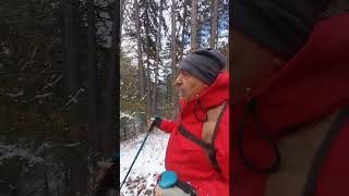 Göktepe zirvesine yürüyüşümüz 24 11 2024 doga hikking trekking kamp nature youtubeshorts 2 [upl. by Castorina]