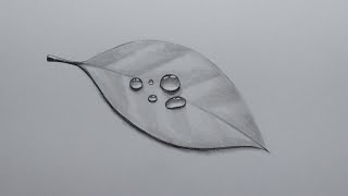 Pencil Drawing And Shading Realistic Water Drops On A Leaf [upl. by Peters]