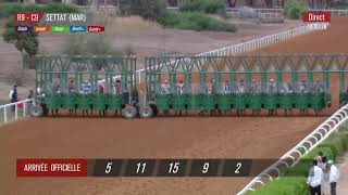 Live Hippodrome « SETTAT »  Courses du « 15112024 » [upl. by Adala]