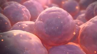 Stem Cell Animation [upl. by Ahsirpac]