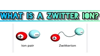 Zwitter ion shorts youtube zwitterion trending [upl. by Eannej]