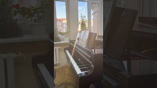 Не пойму к чему это piano pianist music pianomusic рекомендации фортепиано музыка пианист [upl. by Ayeka]