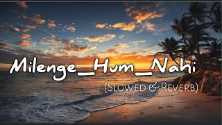 Milenge Hum Nahi lofi song  mere Jaise to milenge milenge ham nahinviral songs [upl. by Haughay]