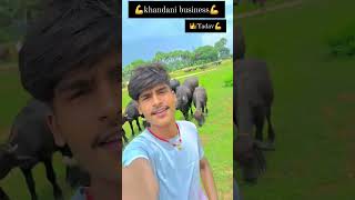 Fasal badu nimne marad se shortsvideo bhojpuri bhojpurimusicchannel bhojpurisong cow viral [upl. by Bayless]