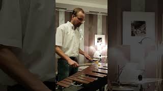 Playing fast Xylophone quotZirkus Renzquot shorts xylophone [upl. by Nairim]