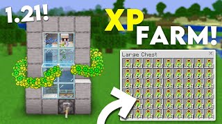 Minecraft XP Farm with Silver Fish 100 Levels In 7 Mins 😱 [upl. by Arrekahs184]