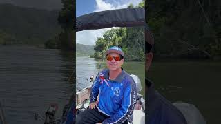 Crocodiles in the Daintree river ￼ [upl. by Yerdua]