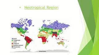 Zoogeographical Regions Zoology LCWUlife Sciences with Mehwish Khan BS 4 years [upl. by Maddie]